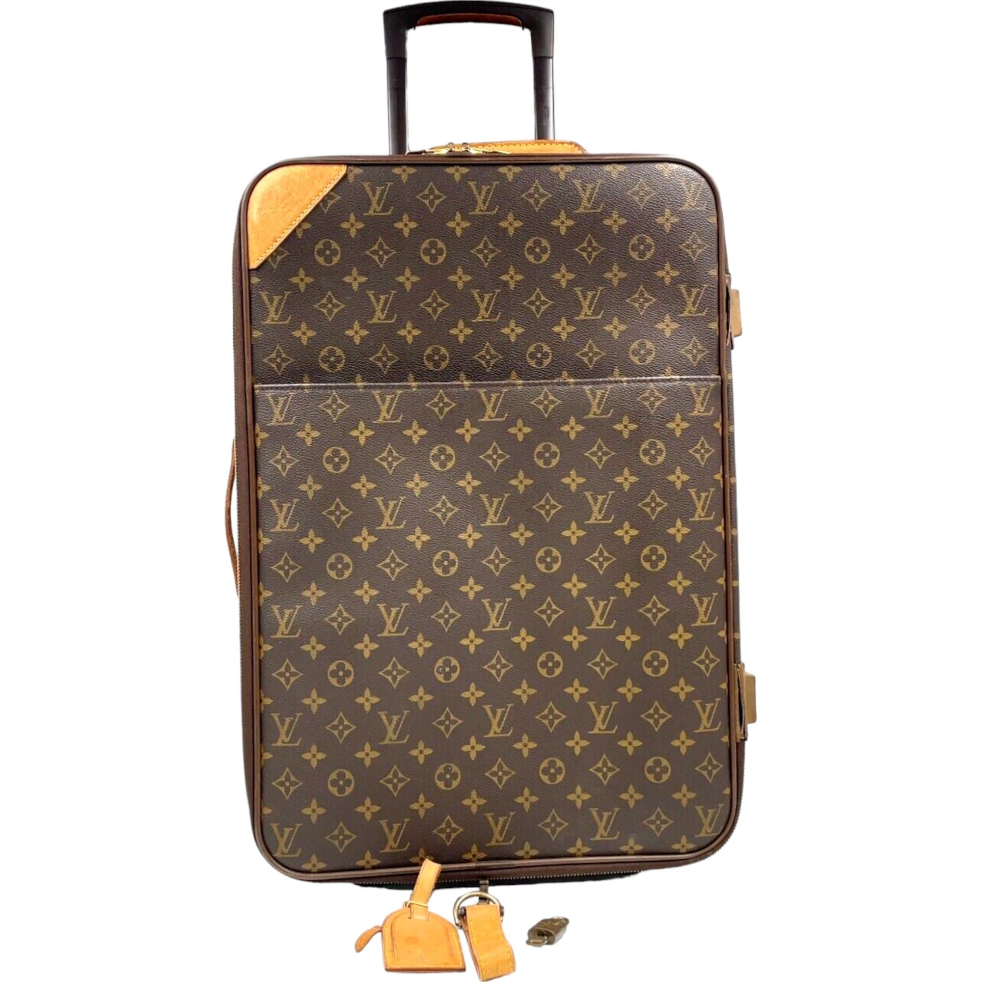 LOUIS VUITTON Carry Case