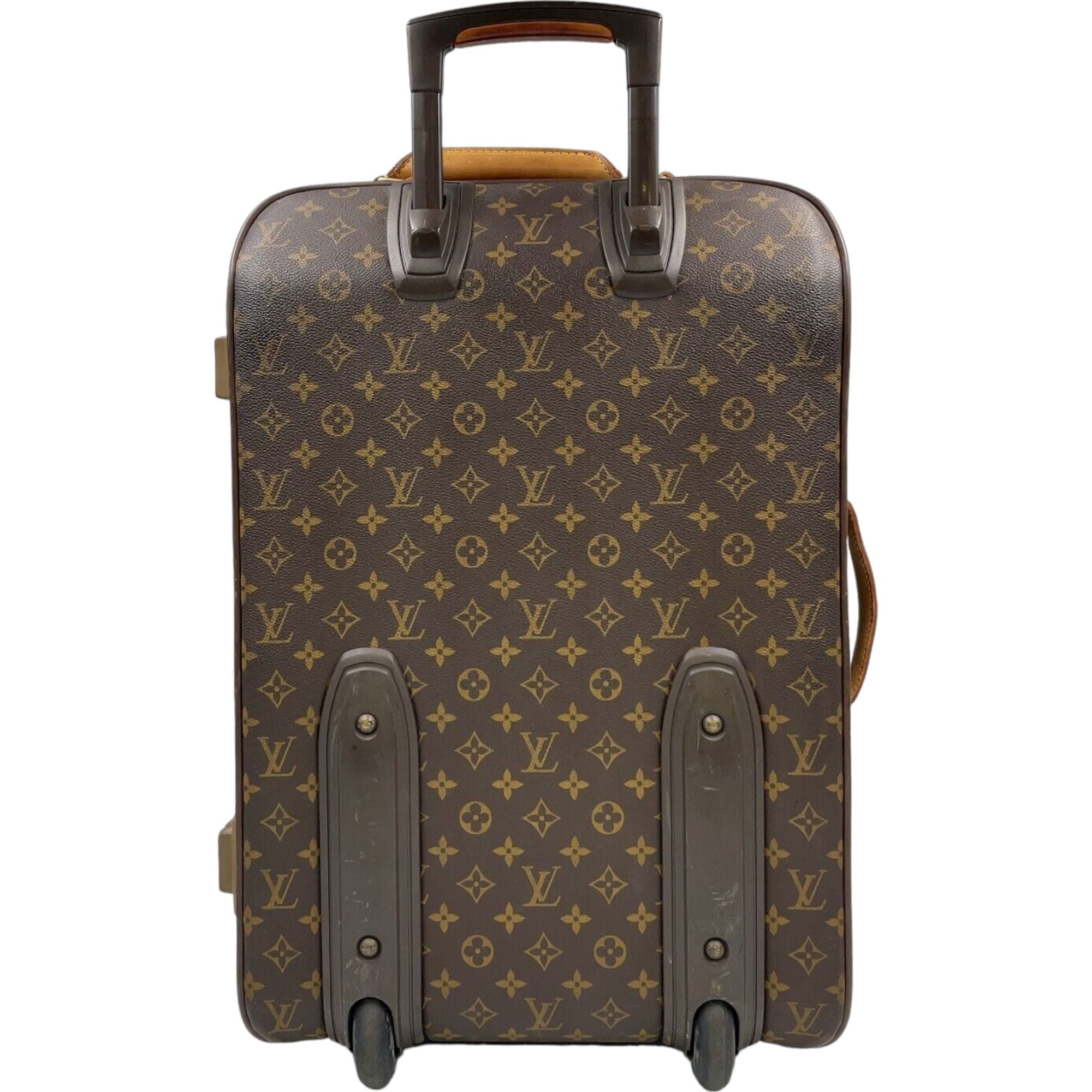 LOUIS VUITTON Carry Case