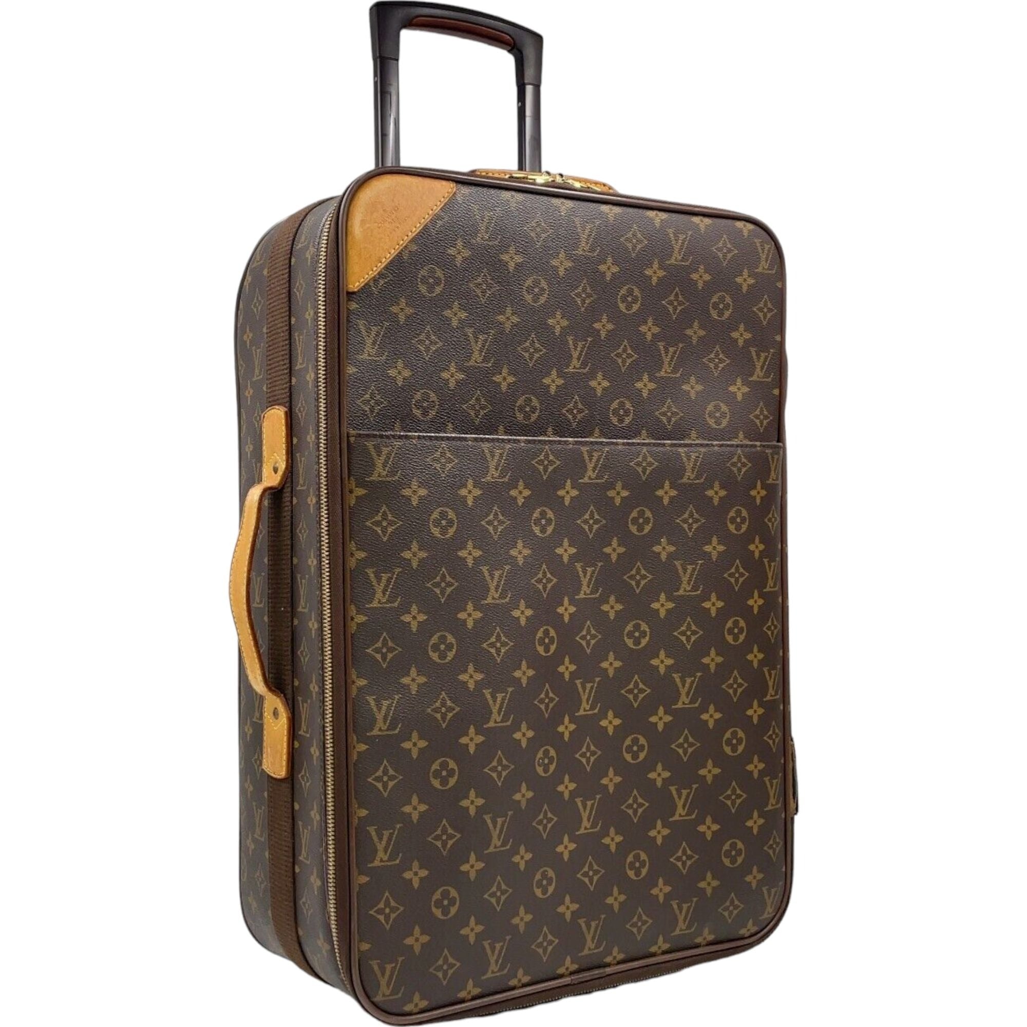 LOUIS VUITTON Carry Case