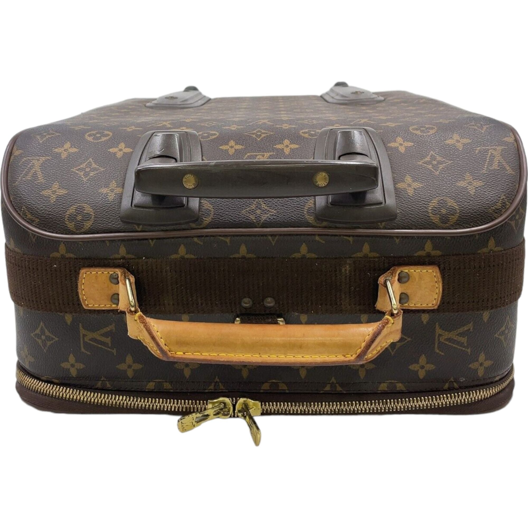 LOUIS VUITTON Carry Case