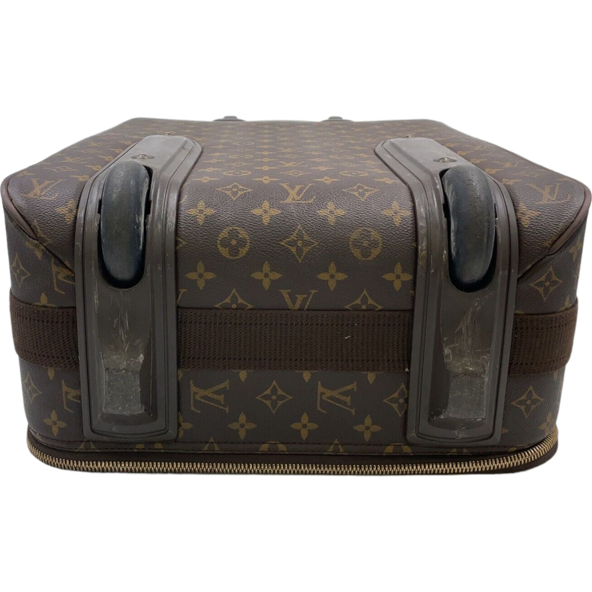 LOUIS VUITTON Carry Case