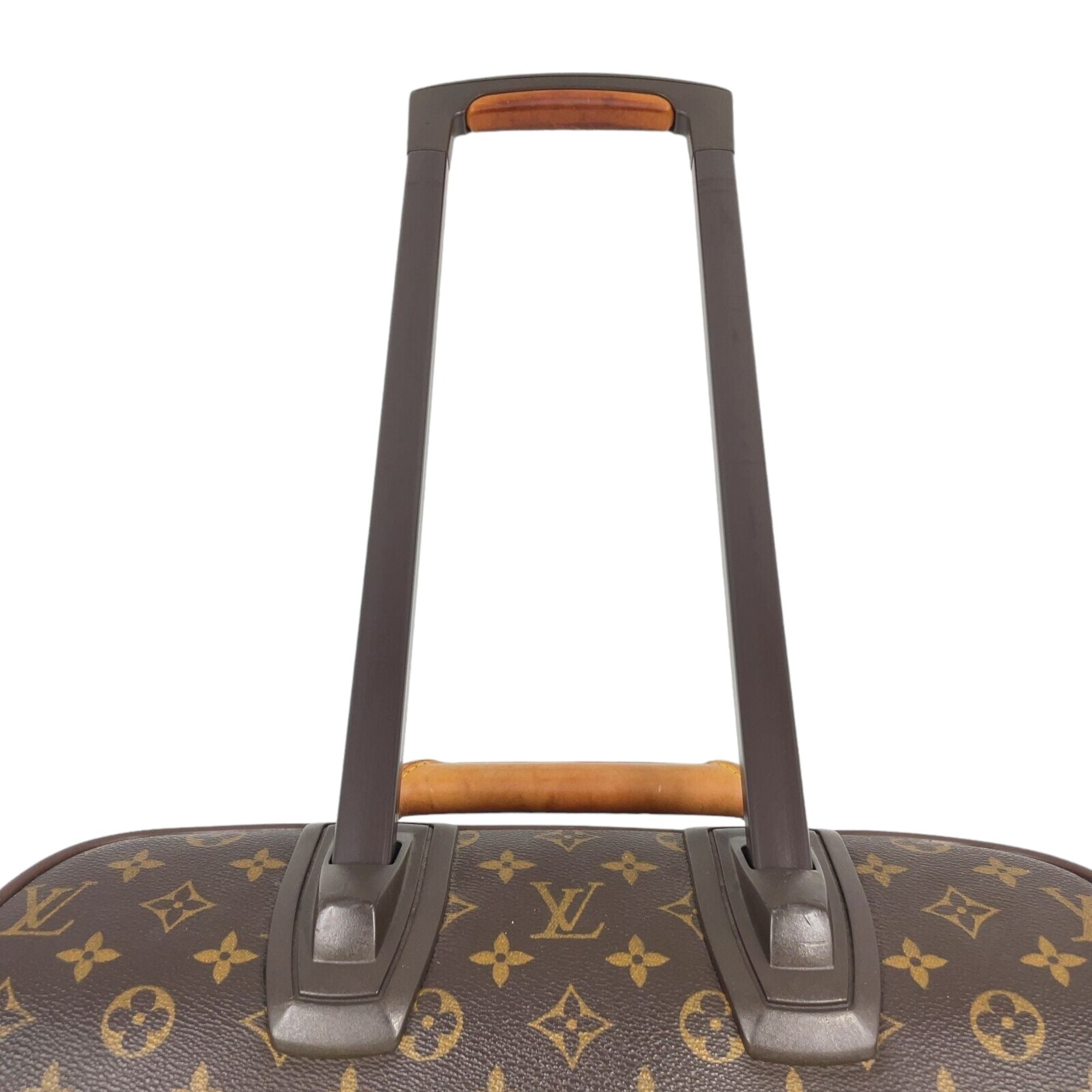 LOUIS VUITTON Carry Case